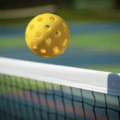 How to Get Rated in Pickleball: A Beginner’s Guide